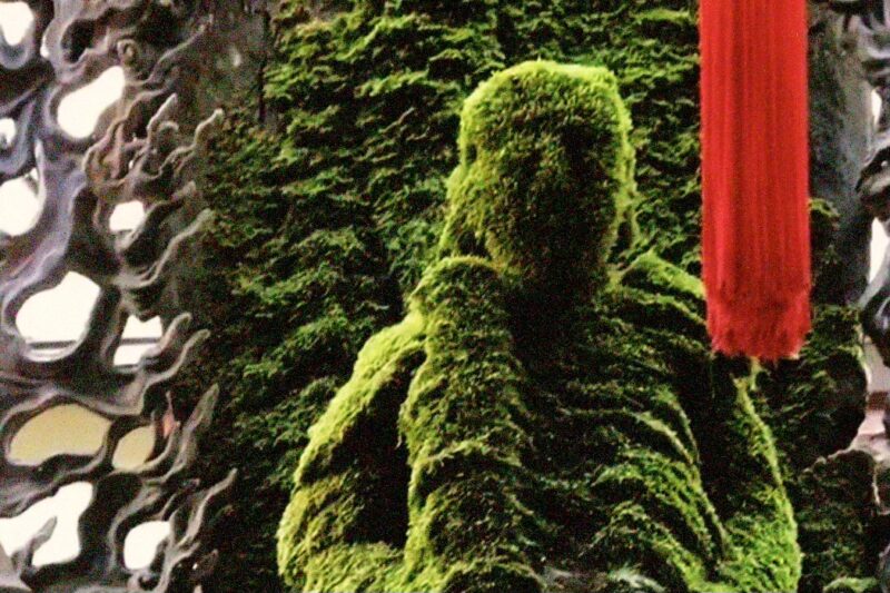 Hozenji Temple, Osaka — The Immovable One