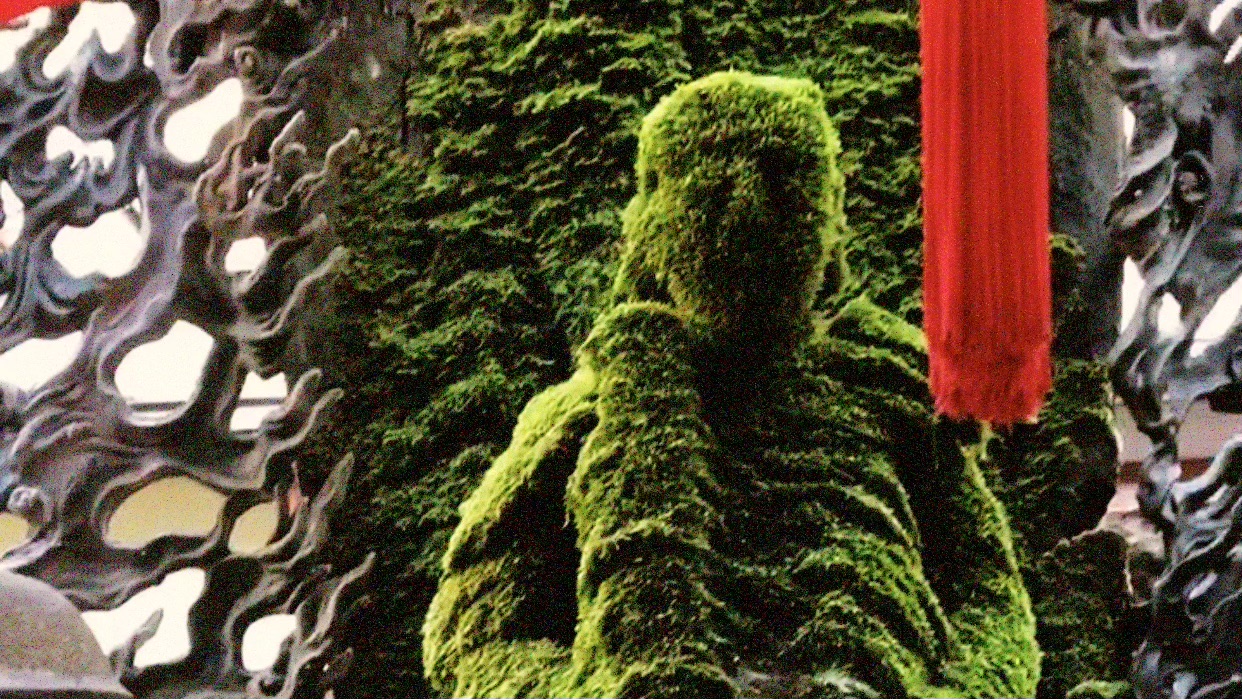 Hozenji Temple, Osaka — The Immovable One