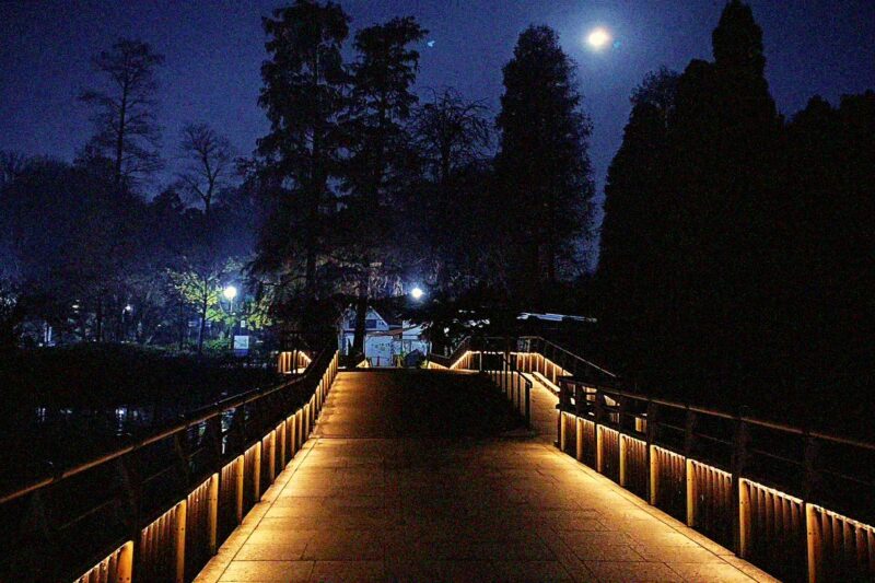 Inokashira Park, Tokyo — The Curse of the Jealous Goddess