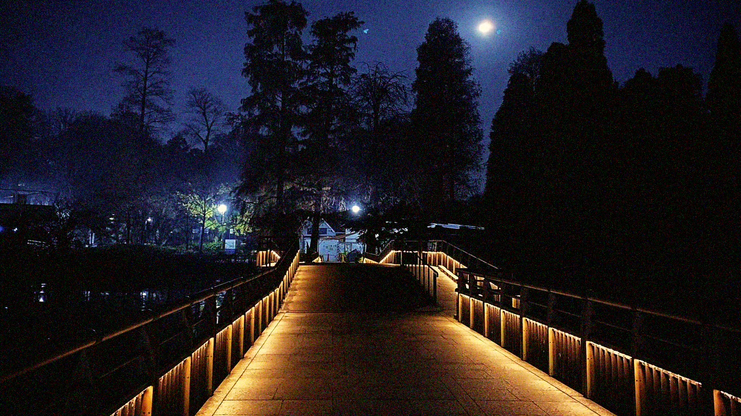 Inokashira Park, Tokyo — The Curse of the Jealous Goddess