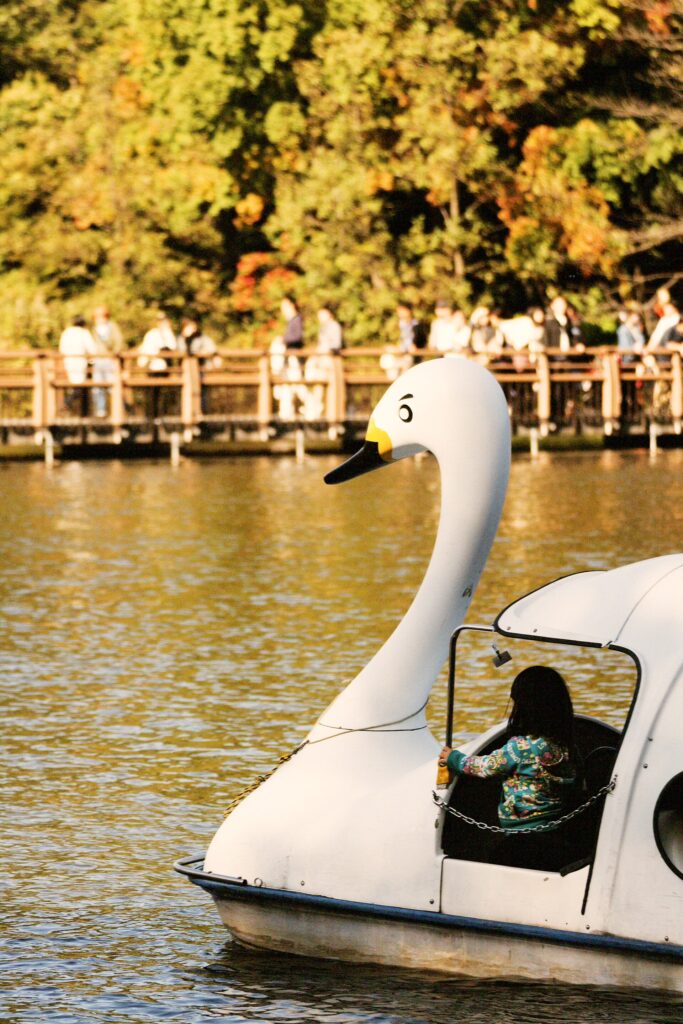 Inokashira Park Tokyo