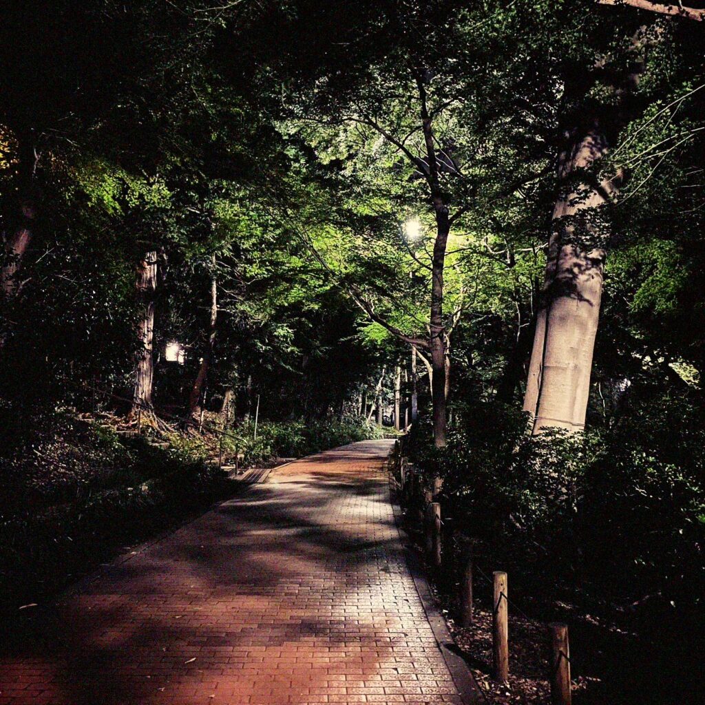 Inokashira Park Tokyo